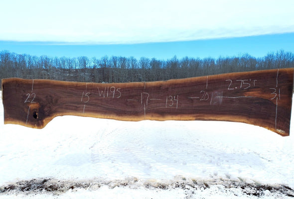 Black Walnut - W195