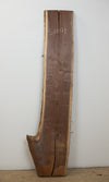 Black Walnut - S1001