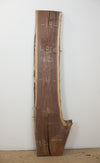 Black Walnut - S1001