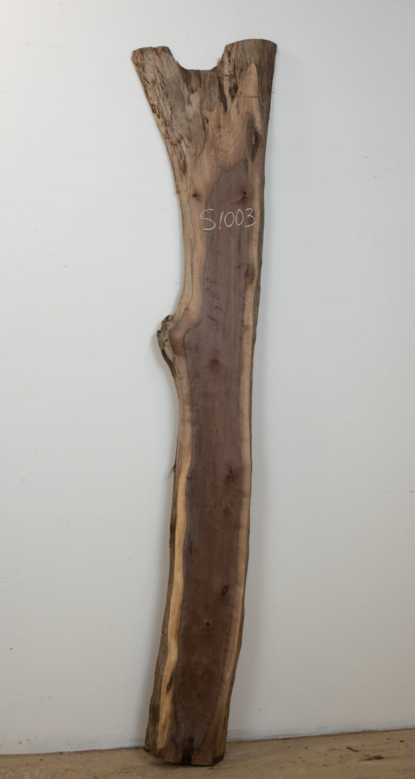 Black Walnut - S1003