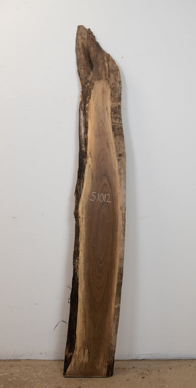 Black Walnut - S1012