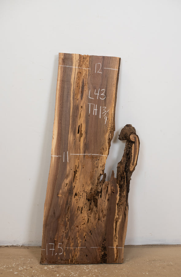 Black Walnut - S1022