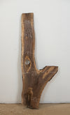Black Walnut - S1027