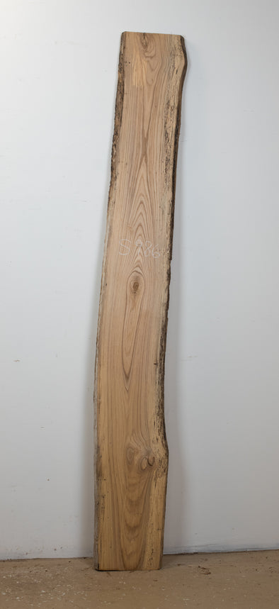 Ash - S986