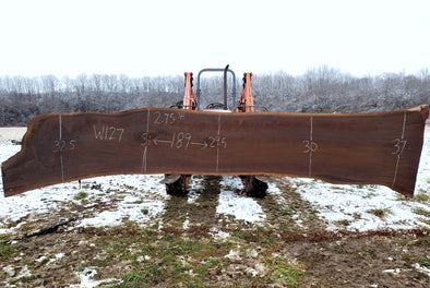 Black Walnut - W127