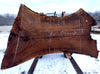Black Walnut - W161