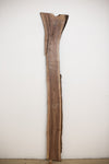 Black Walnut - S193