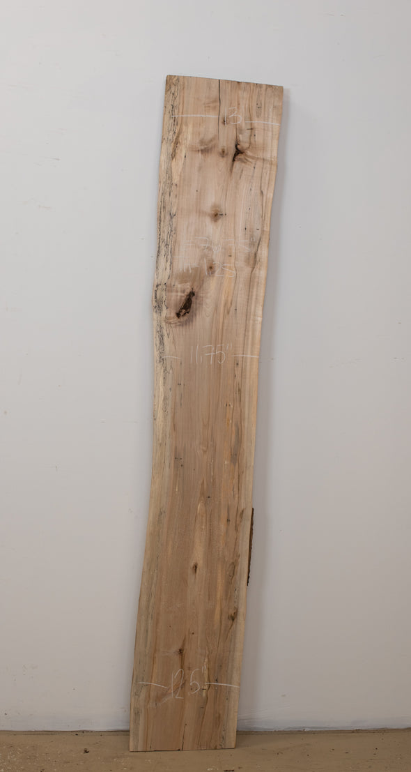 Ambrosia Maple - S882