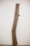 Black Walnut - S203