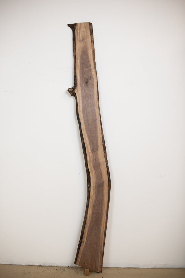 Black Walnut - S203