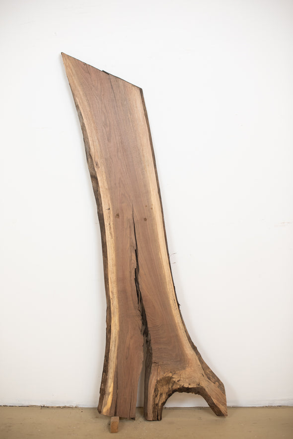 Black Walnut - S213