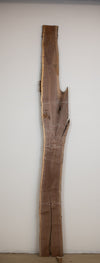 Black Walnut - S348