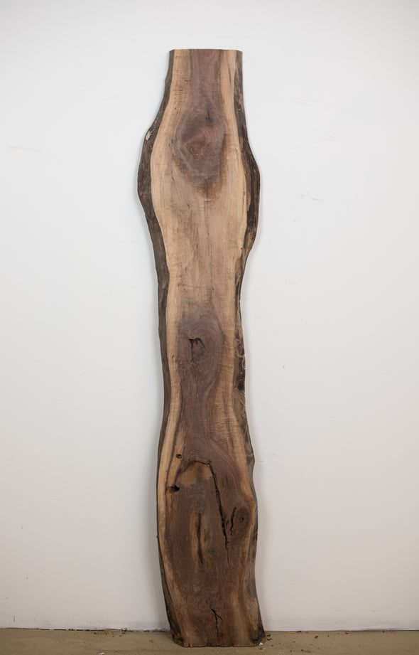 Black Walnut - S435