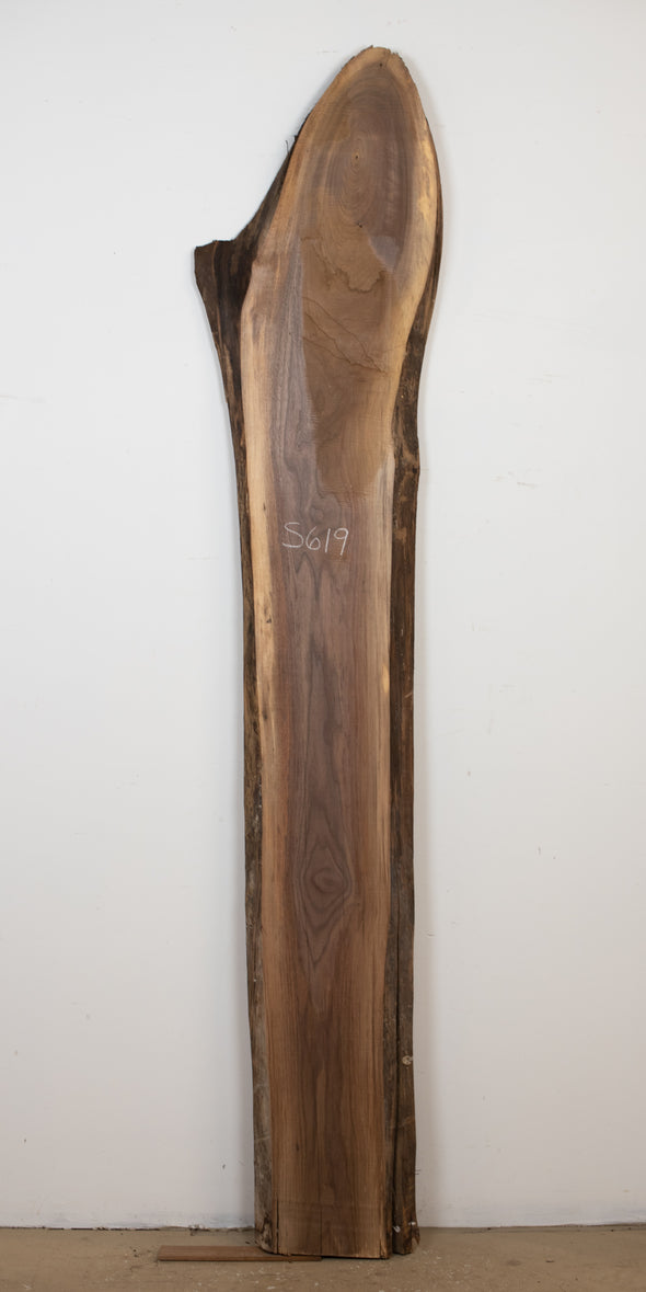 SOLD - Black Walnut - S619