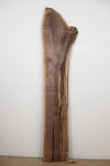 Black Walnut - S620