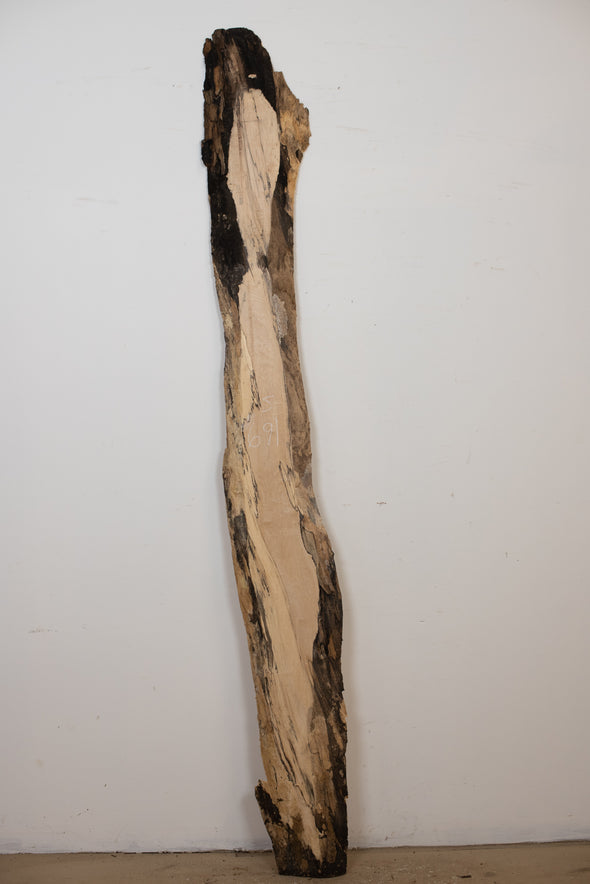 Spalted Maple - S691