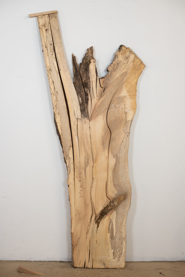 Spalted Maple - S702
