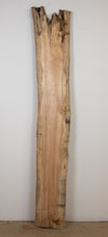 Taphole Hard Maple - S742