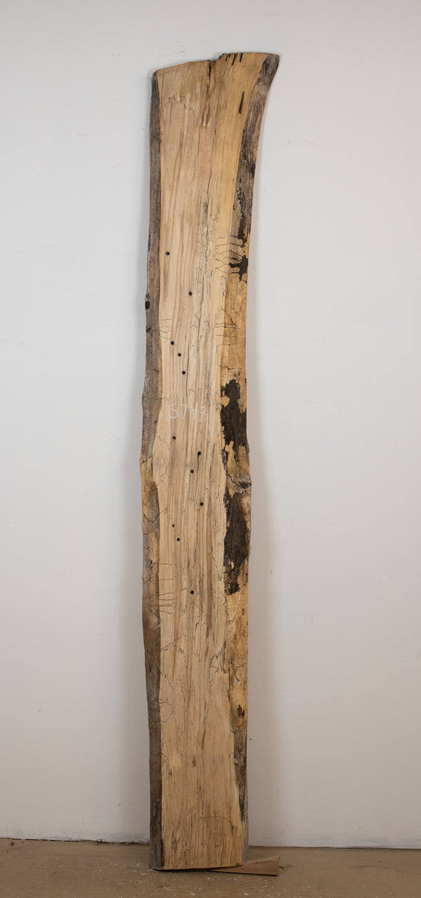 Taphole Hard Maple - S743