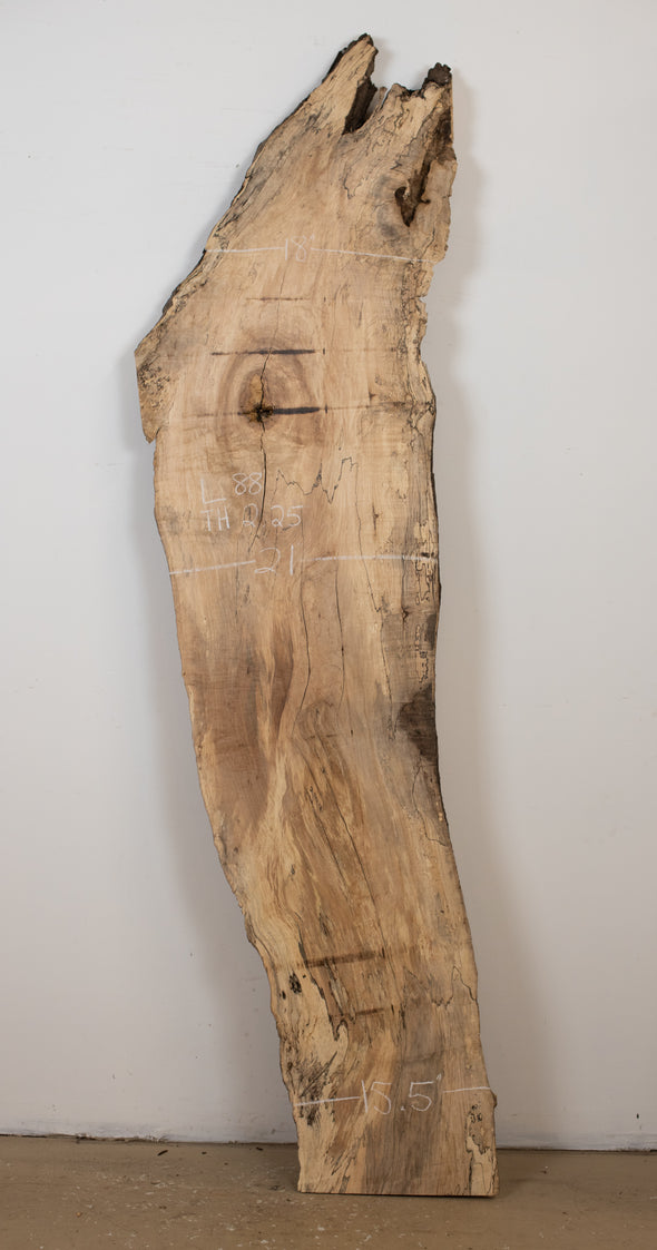 Spalted Maple - S749