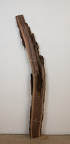 Black Walnut - S761