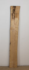 Black Locust - S766