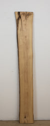 Black Locust - S766