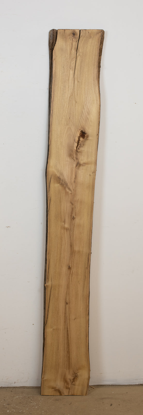 Black Locust - S768