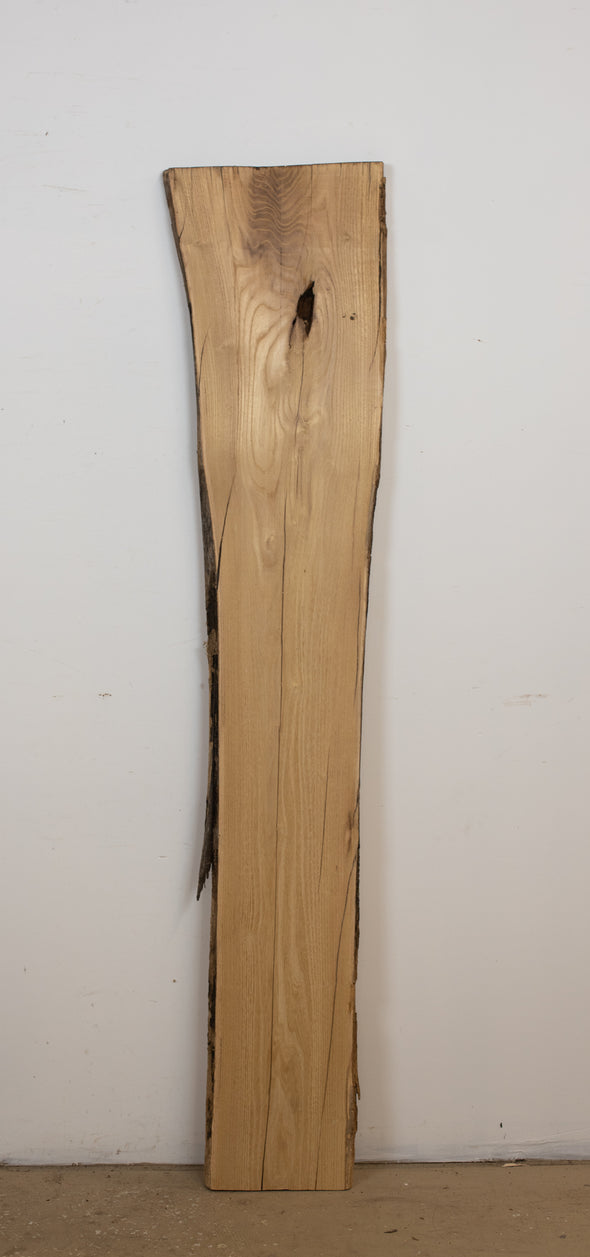 Black Locust - S773