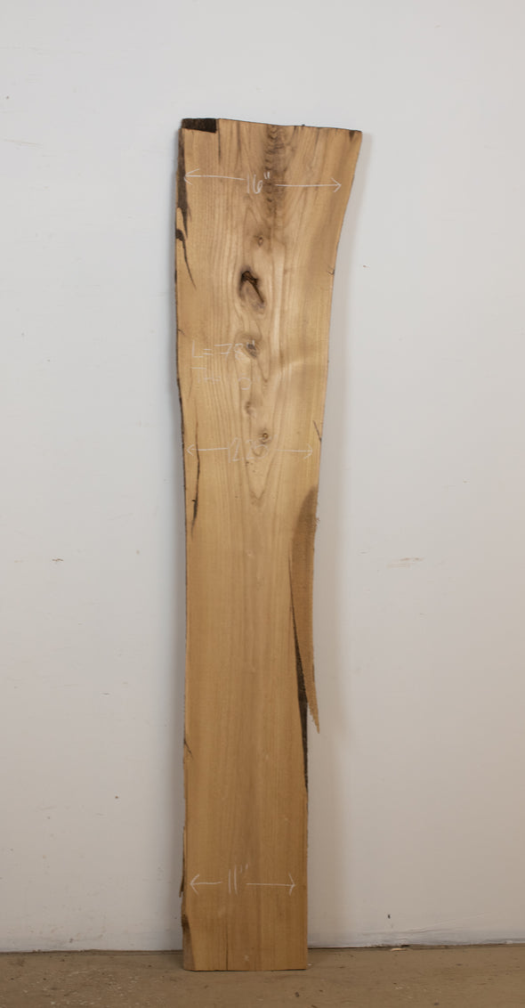 Black Locust - S773