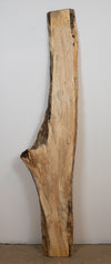 Spalted Maple - S781