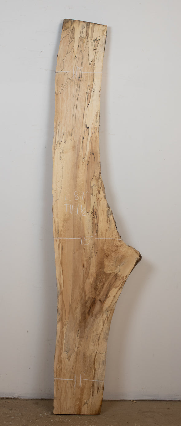 Spalted Maple - S781