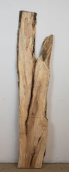 Spalted Maple - S782