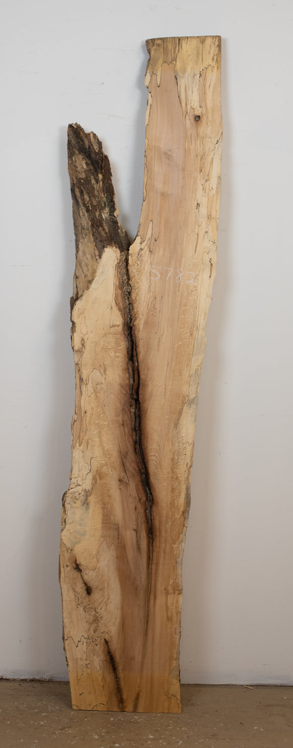 Spalted Maple - S782