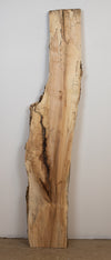 Spalted Maple - S783