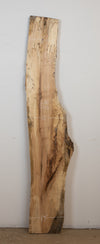 Spalted Maple - S784