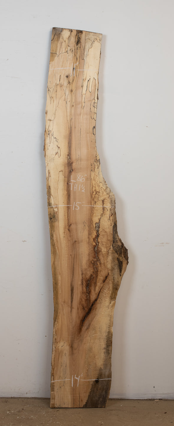 Spalted Maple - S784