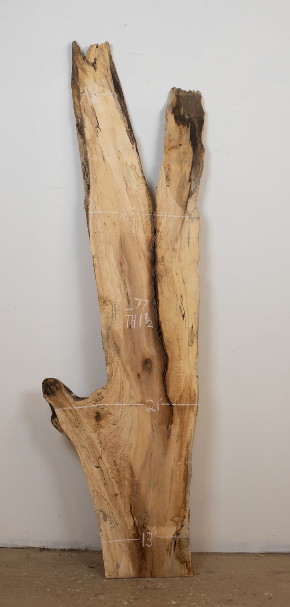 Spalted Maple - S785