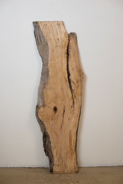 Spalted Maple - S799