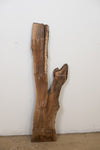 Black Walnut - S811