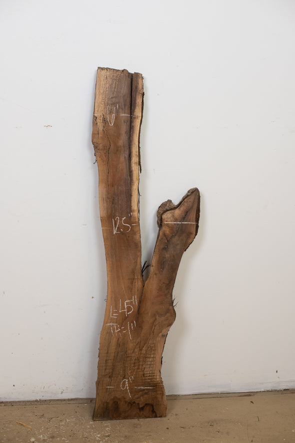 Black Walnut - S811