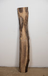 Black Walnut - S819