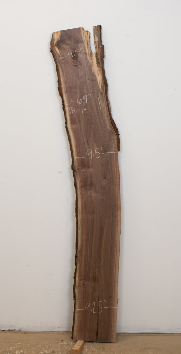 Black Walnut - S864