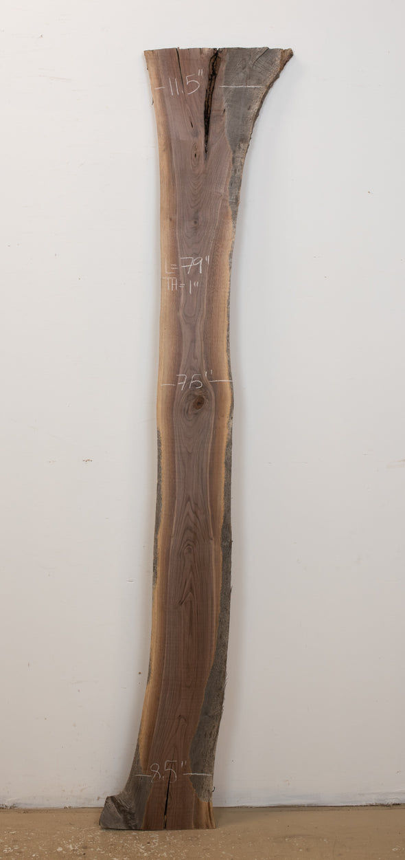 Black Walnut - S866