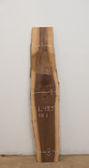 Black Walnut - S905
