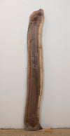 Black Walnut - S914