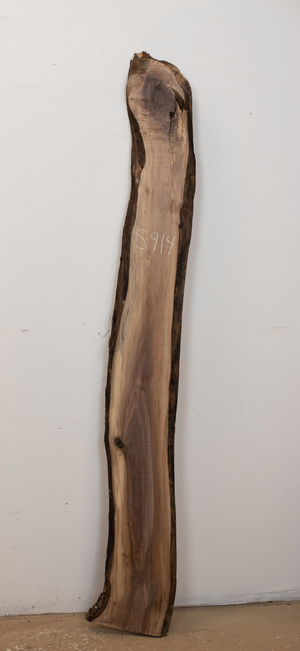 Black Walnut - S914