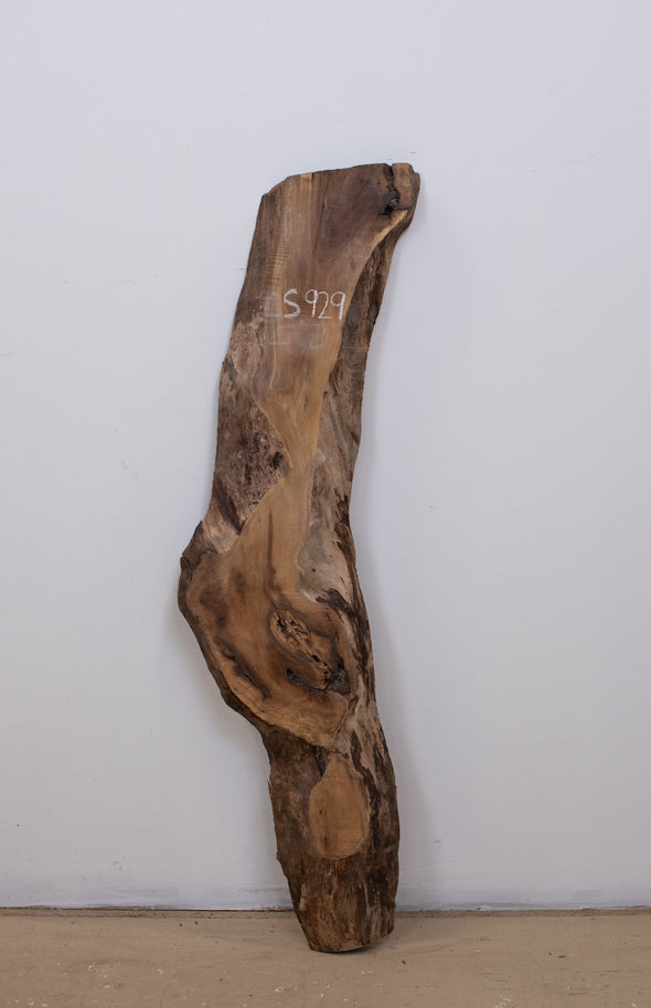 Black Walnut - S929