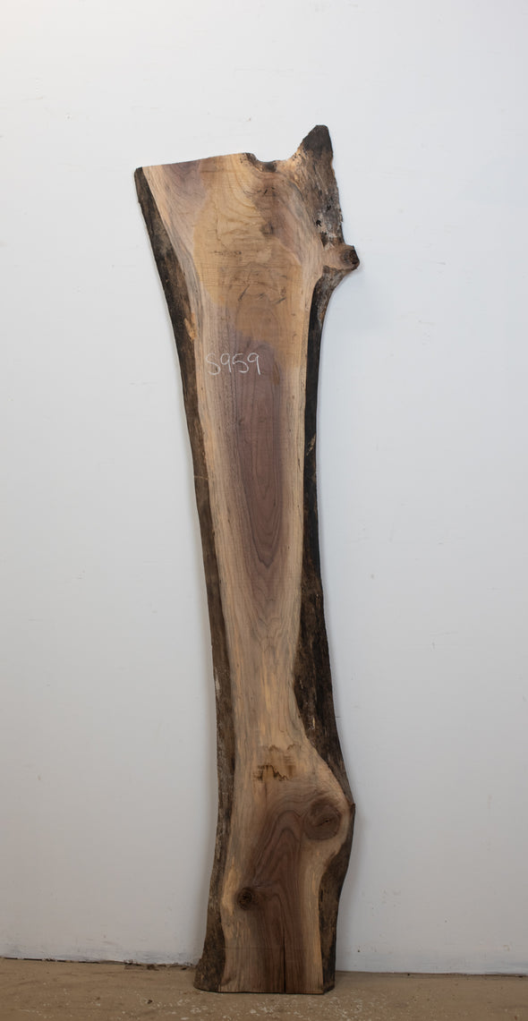 Black Walnut - S959