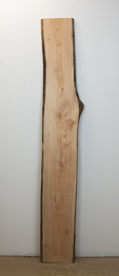 Spalted Elm - S962